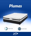 Plumas